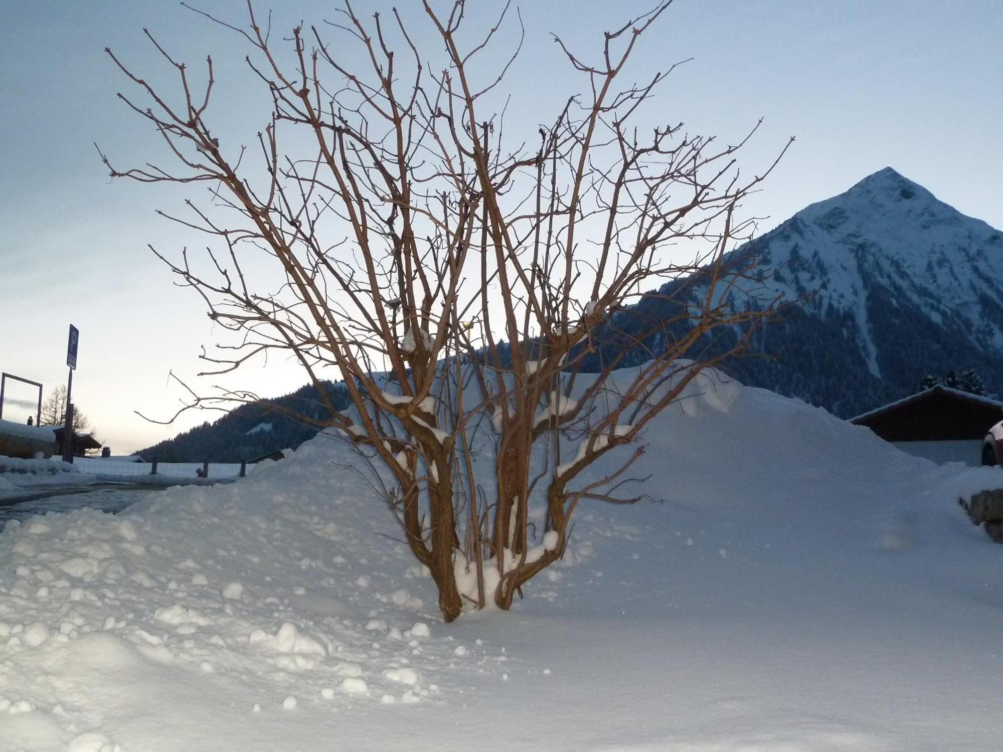 Hotel Restaurant Sunnmatt Aeschi Bei Spiez Dış mekan fotoğraf