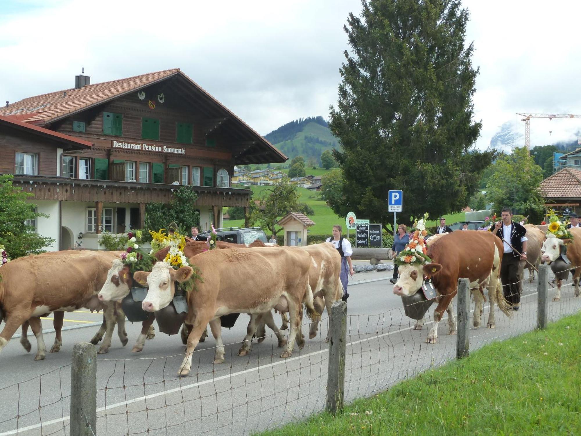 Hotel Restaurant Sunnmatt Aeschi Bei Spiez Dış mekan fotoğraf