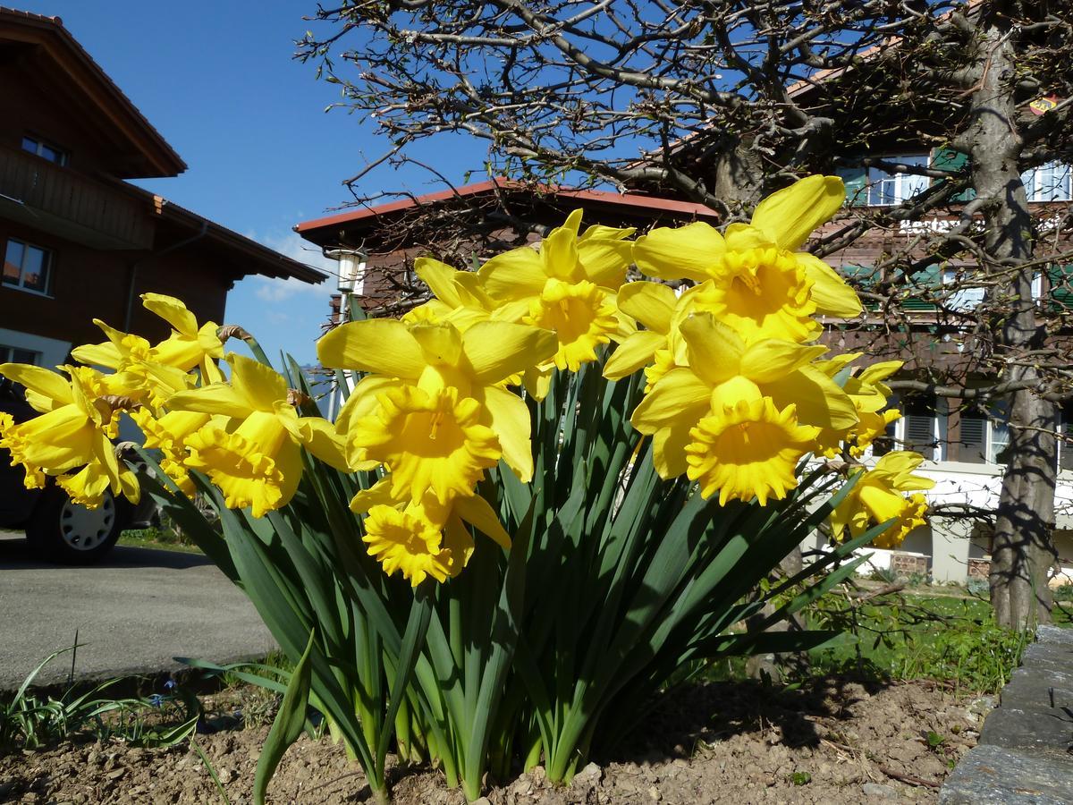Hotel Restaurant Sunnmatt Aeschi Bei Spiez Dış mekan fotoğraf