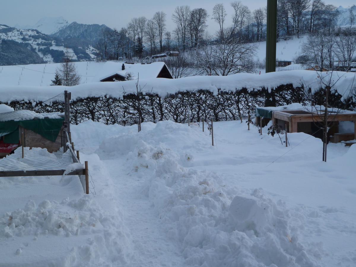 Hotel Restaurant Sunnmatt Aeschi Bei Spiez Dış mekan fotoğraf